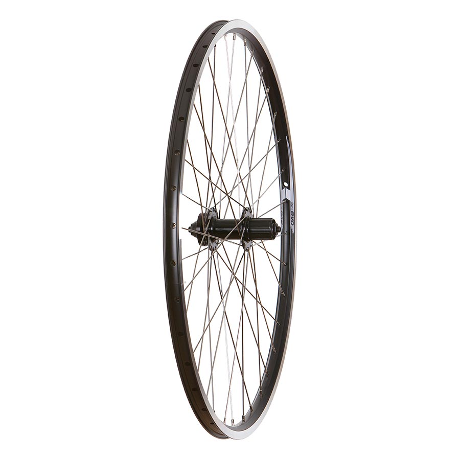 Wheel Shop Evo Tour 19 Roue Arrière 700C Disque IS Shimano HG - Composante