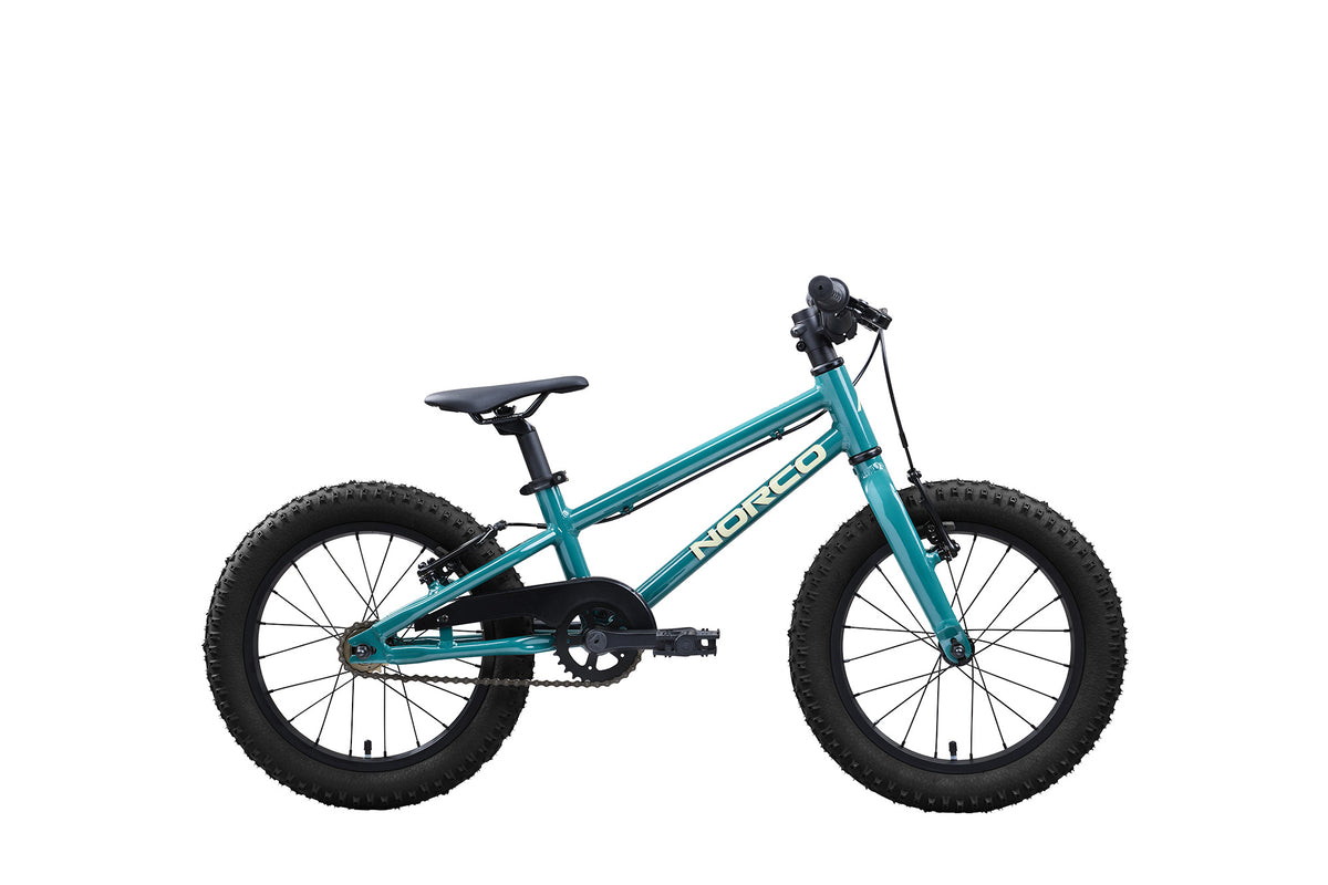 Norco Storm 16