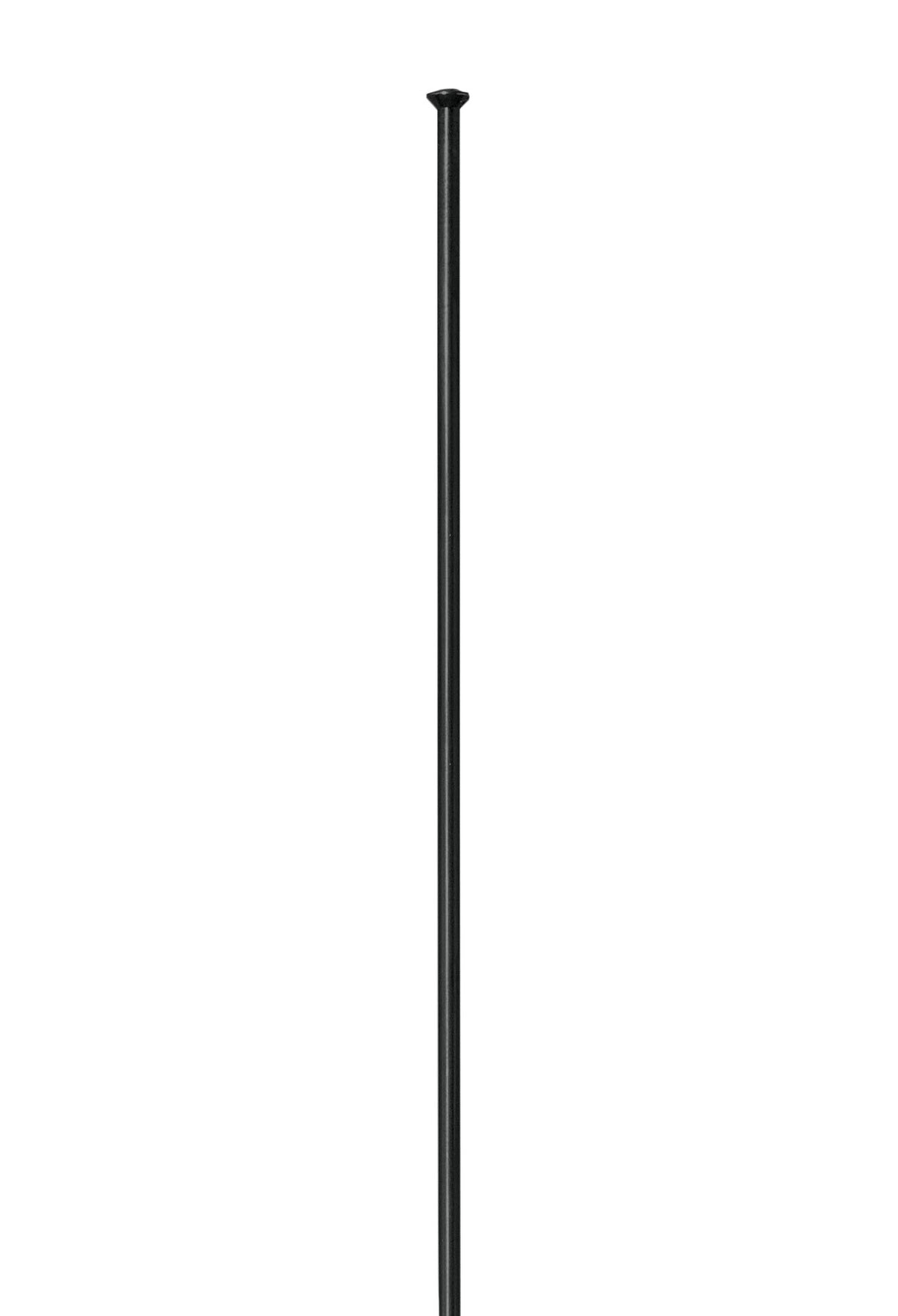DT Swiss Competition Rayons droits - Composante