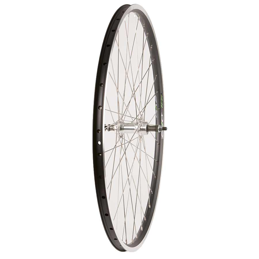 Wheel Shop Evo Tour 19 Noir/ Formula FM-31, Roue, Arrière, 700C / 622, Trous: 36, Boulons, 135mm, Sur jante, Roue libre
