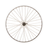 Wheel Shop Evo Tour 20 Roue arrière 26" HG - Composante