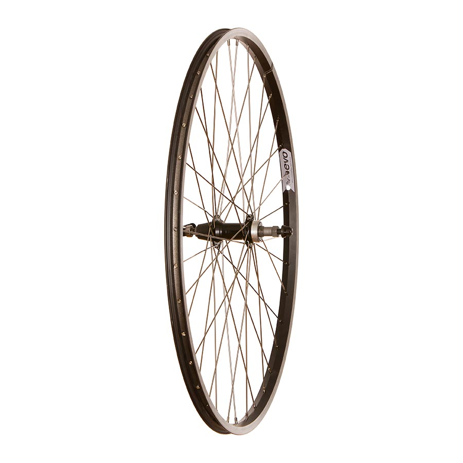 Wheel Shop Evo Tour 20 Roue libre 135mm - Composante
