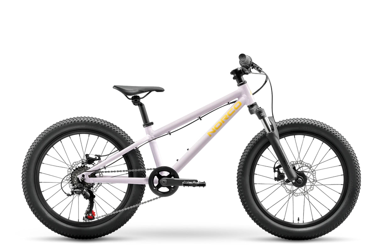 NORCO STORM 20