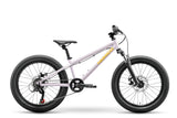 NORCO STORM 20