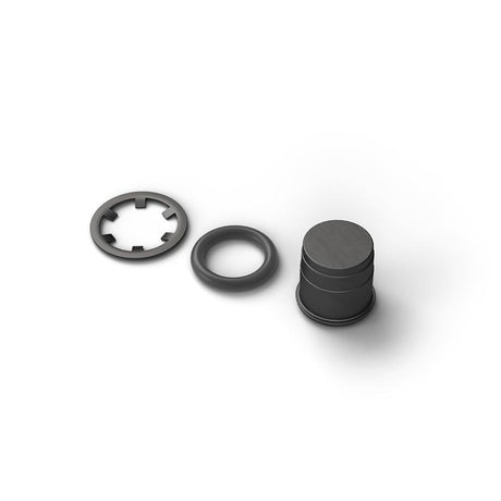 SwissStop Aimant pour vélo électrique pour rotor Center Lock - Composante