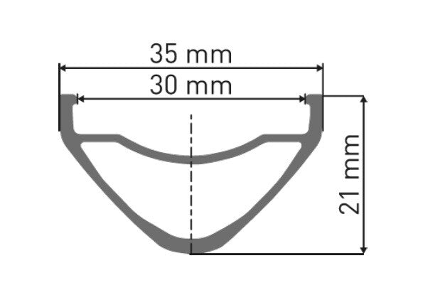 DT Swiss Jante FR 541 DISC 29"