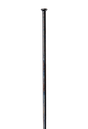 DT Swiss Competition Rayons droits - Composante