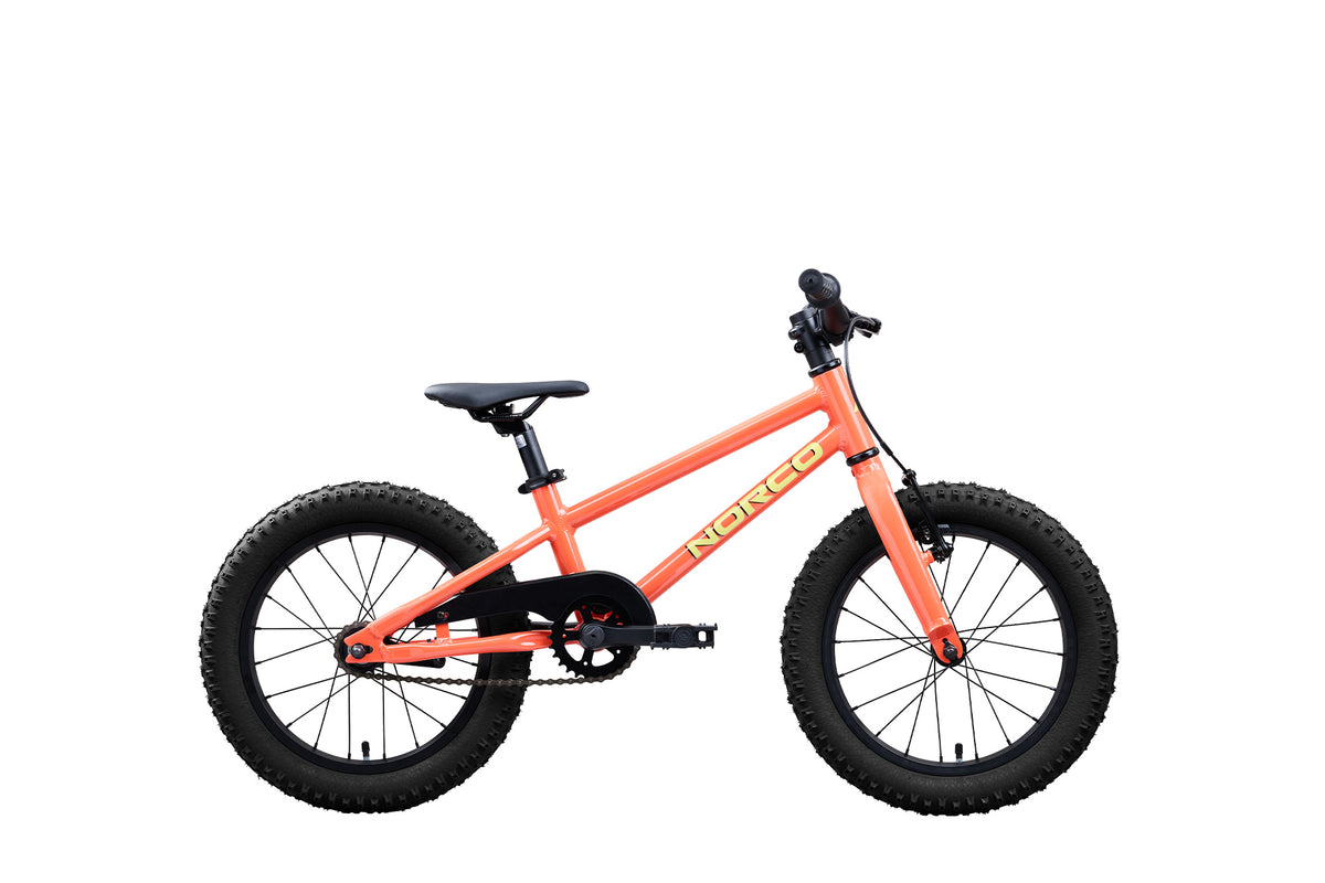 Norco Storm 16