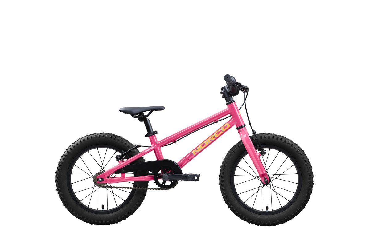 Norco Storm 16
