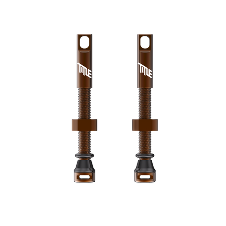 Title MTB sans chambre Valves Gris