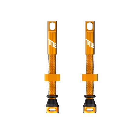Title MTB sans chambre Valves Gold