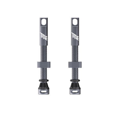 Title MTB sans chambre Valves Oil Slick