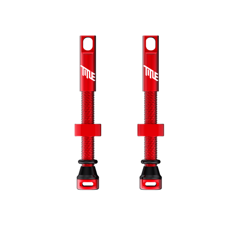Title MTB sans chambre Valves Purple