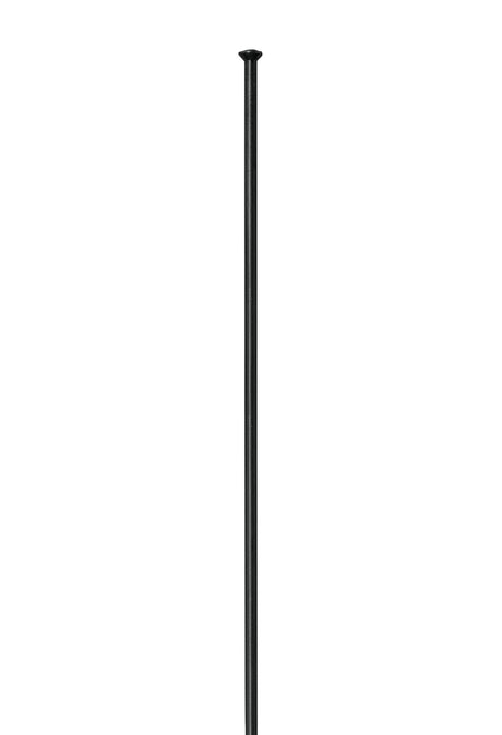 DT Swiss Competition Rayons droits - Composante