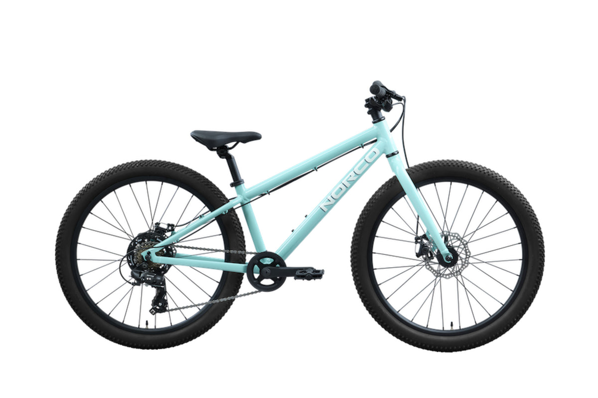 Norco Storm 24 Disc