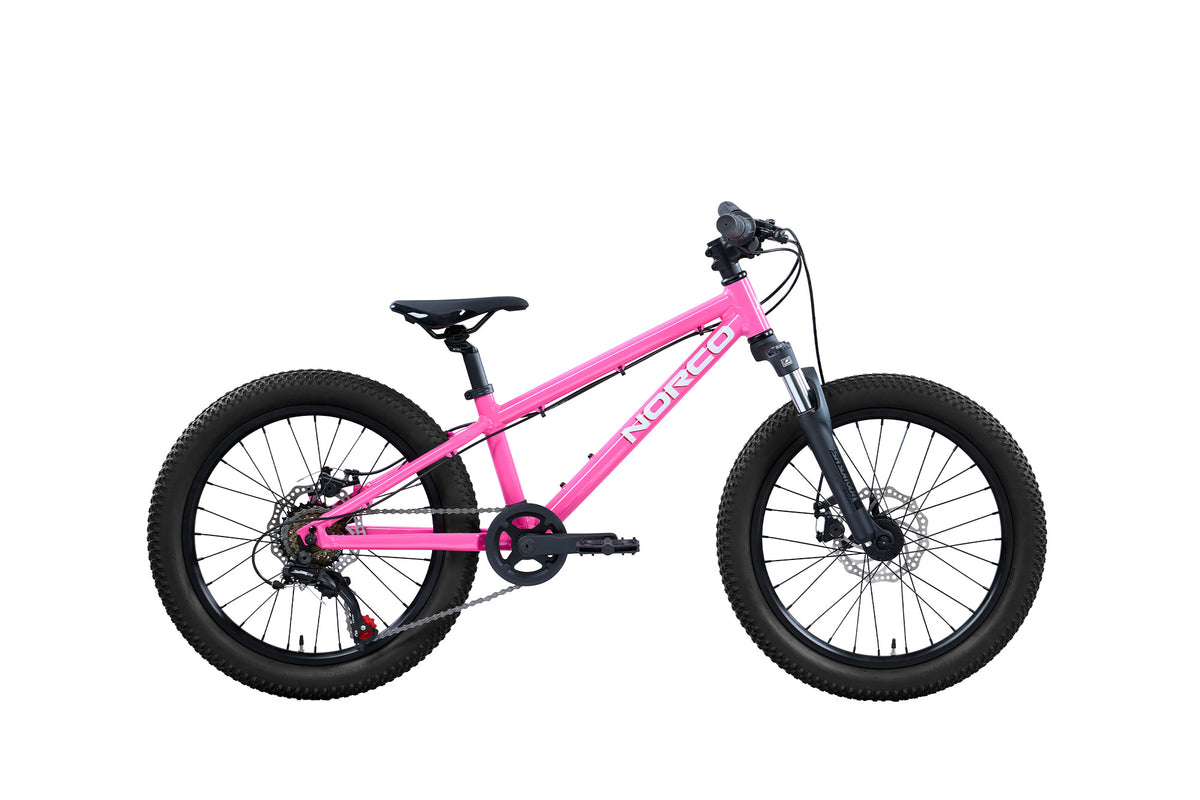 NORCO STORM 20