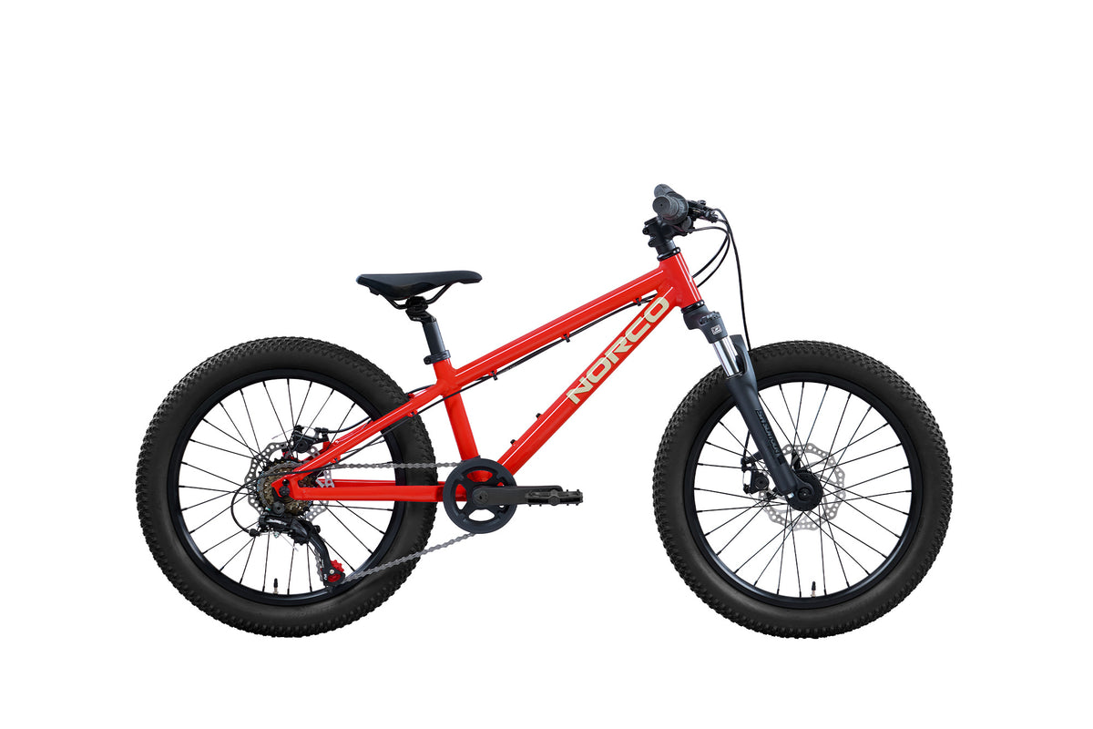 NORCO STORM 20